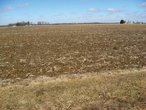 Property photo 29 - 127 Acres Offered in 4 Tracts